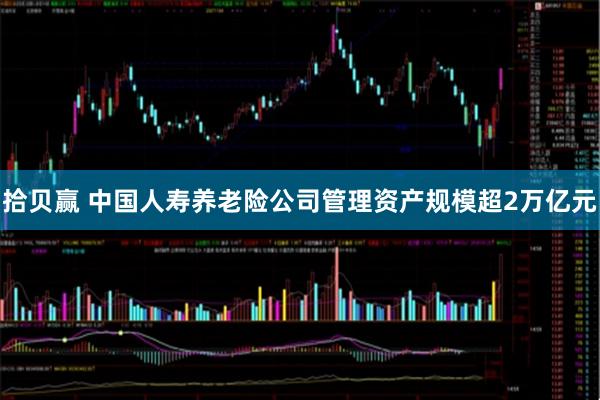 拾贝赢 中国人寿养老险公司管理资产规模超2万亿元
