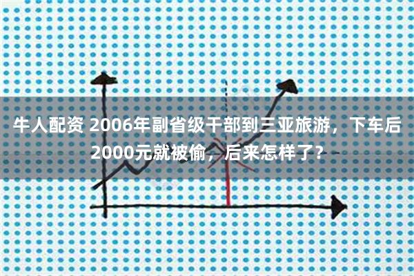 牛人配资 2006年副省级干部到三亚旅游，下车后2000元就被偷，后来怎样了？