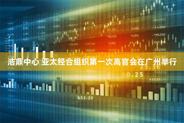 浩鼎中心 亚太经合组织第一次高官会在广州举行